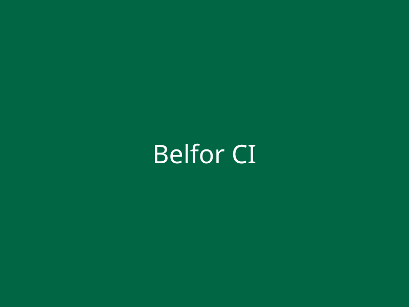 Belfor CI