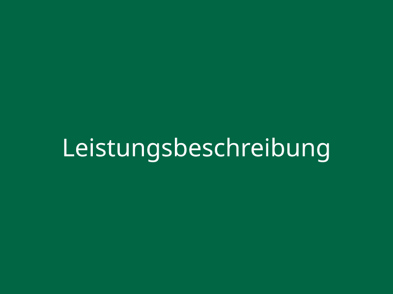 Leistungsbeschreibung
