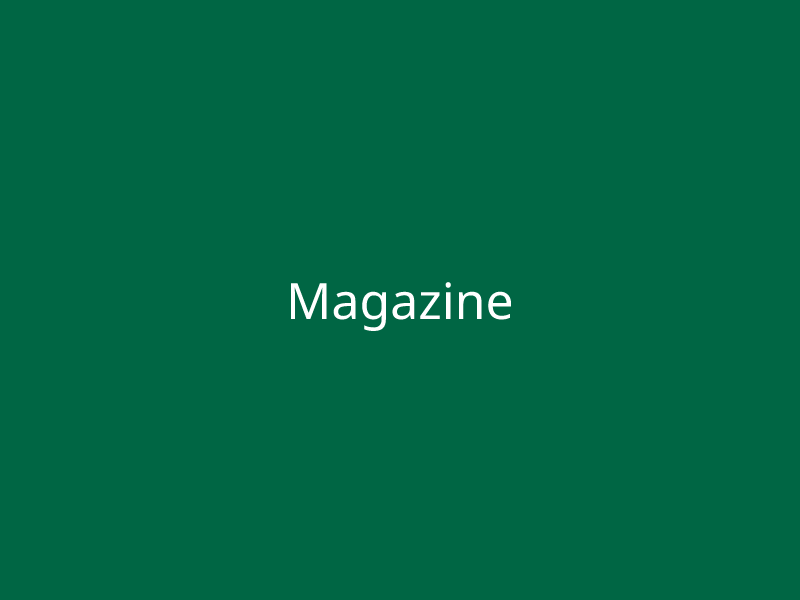 Magazine