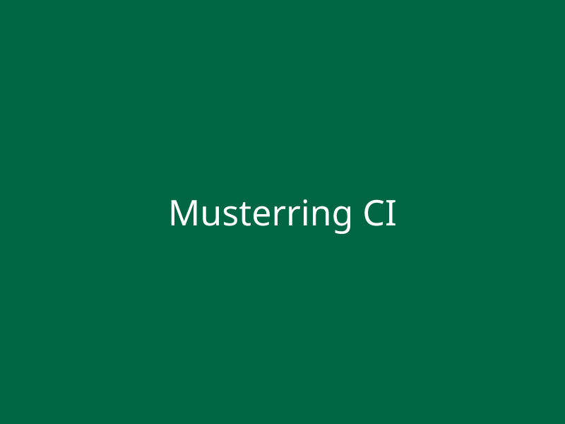 Musterring CI
