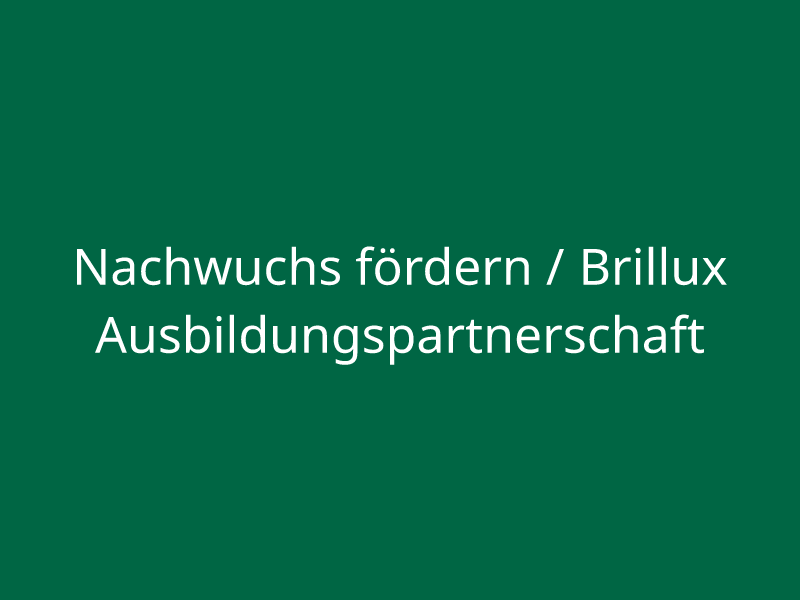 Nachwuchs fördern / Brillux Ausbildungspartnerschaft