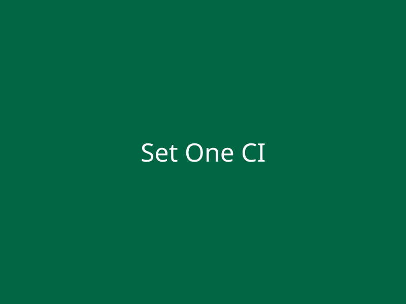 Set One CI