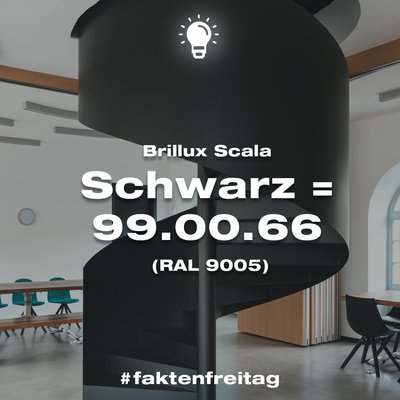 Faktenfreitag Schwarz