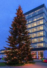Brillux Weihnachtsbaum