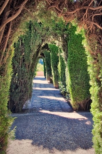 <p>Alhambra, Granada (<em>Foto:</em> ©istockphoto/IvanBastien)</p>