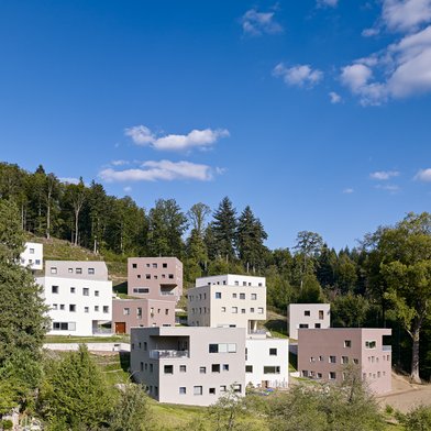 Robert Bosch College, Freiburg