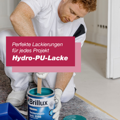 BX Lacke im Überblick