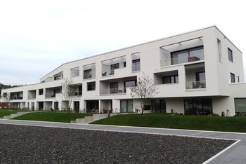 <p>Hanseviertel mit Haus im Stadtpark;<i> Foto: Brillux</i></p>