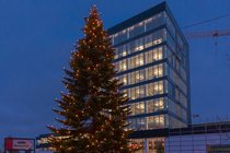 Weihnachtsbaum bei Brillux
