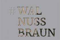 Walnussbraun: das Brillux Architekturmagazin colore