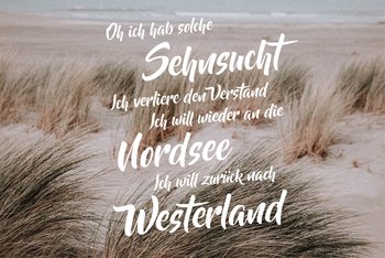 <p>aus "Westerland" von Die Ärzte;&nbsp;<em>Foto: Unsplash (eleventh-wave)</em></p>