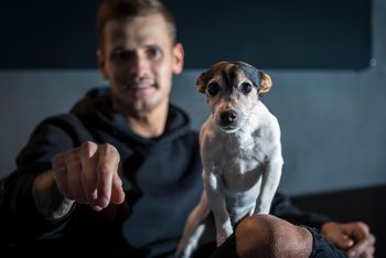 <p>Jack-Russell-Terrier Emma flitzt gern durch die Hallen und Büros, sehr zur Freude der Mitarbeiter</p>