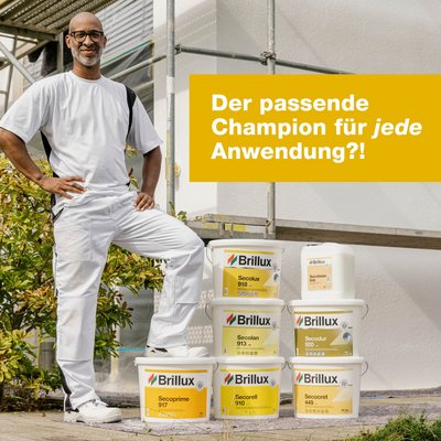 Wann welche Siliconharzfarbe verwenden?