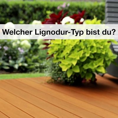 Welcher Lignodur-Typ bist du?