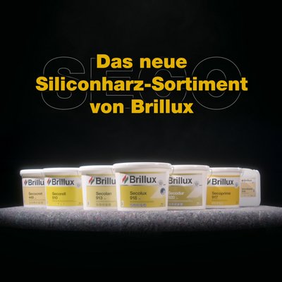 Siliconharzsystem