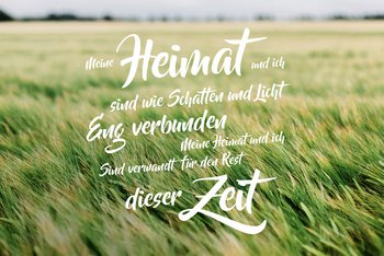 <p>aus "Heimat" von Anna Depenbusch;&nbsp;<em>Foto: Unsplash (bruno-martins)</em></p>