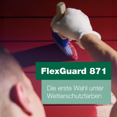 Anwendungsvideo FlexGuard 871