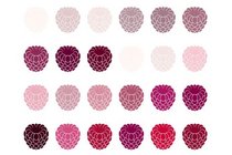 Das Brillux Architekturmagazin colore