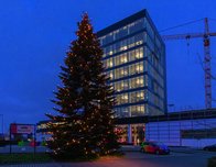 Brillux Weihnachtsbaum