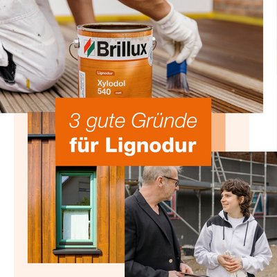 3 gute Gründe für Lignodur