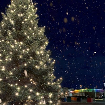 Brillux Tannenbaum