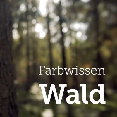 Farbwissen Wald MarktImpulse