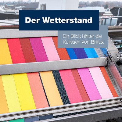 MIP 24/2 Hinter den Kulissen