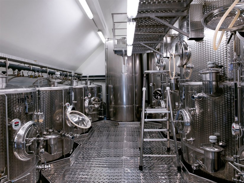 <p>Aufgrund des rauen Klimas setzt das Weingut Turnau auf besonders robuste und frostsichere Rebsorten aus Deutschland.</p>