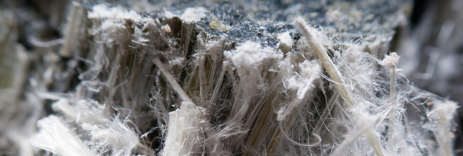 Sachkunde für Tätigkeiten mit Asbest