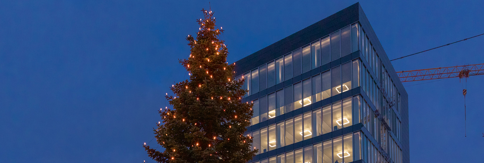 Weihnachtsbaum bei Brillux