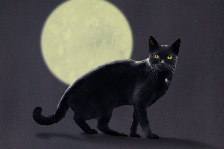 Die Farbe Schwarz – Brillux