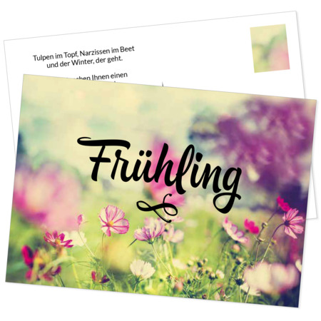 Postkarte Frühling "Blumenwiese"