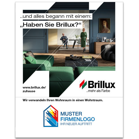 Gerüstplane Brillux Zuhause 2,50 m x 4,00 m Mesh 