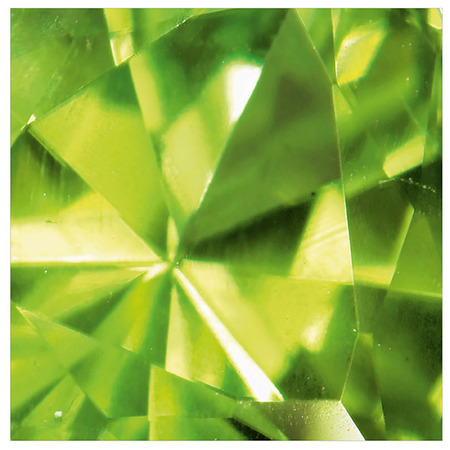 Musterplatten-Aufkleber "Charmantes Grün"